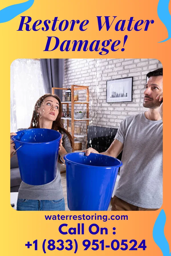 water restoration Expert Damage Recovery Pros Holstein