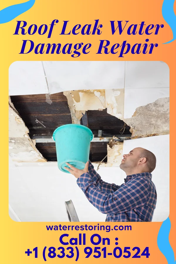 Roof Leak Water Damage Repair in Holstein, IA
