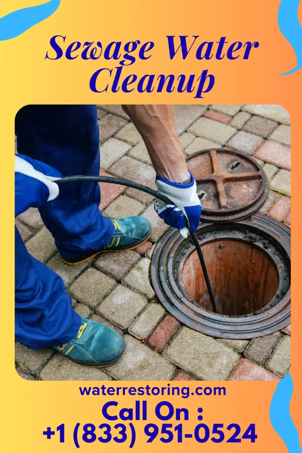 Sewage Water Cleanup in Holstein, IA